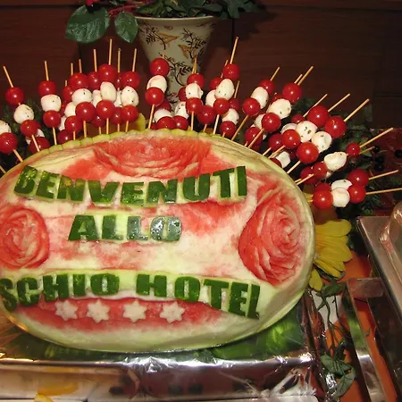 Schio Hotel ホテル スキーオ